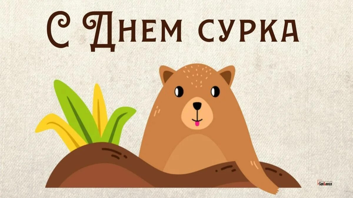 День сурка число. День сурка. 2 февраля праздник день сурка. день сурка открытки. открытки с днем сурка 2 февраля.