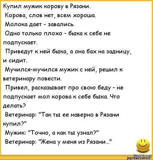 Мам пап как вы там. Анекдот про корову. Анекдоты про жену. Смешные сценки с детьми для папы. Анекдот про Быков.