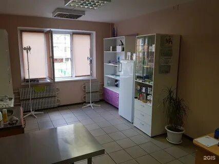 Левобережная ветеринарная лечебница отзывы
