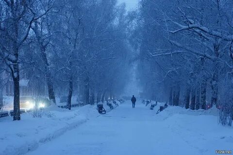 Наглядное фото