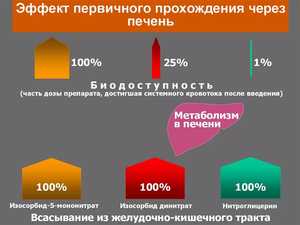 Прохождение через печень