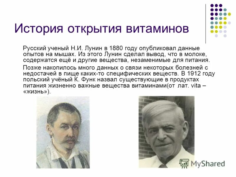 ученый открывший витамины. история открытия витаминов. история открытия витаминов. лунин николай иванович открытие витаминов. герберт эванс витамин е.