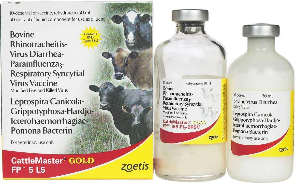 Вакцина Кэтлмастер Голд. Кэтлмастер вакцина для КРС. Zoetis крупный рогатый скот. Вакцина для телят. Вакцины для коров