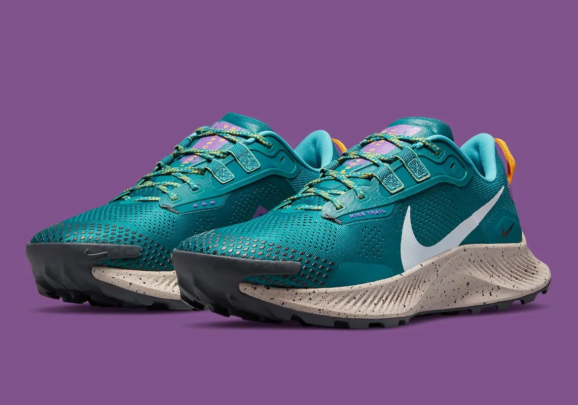 Найк пегасус трейл. Найк Пегасус Трайл 2. Nike Pegasus 300. Nike Pegasus Trail 3.