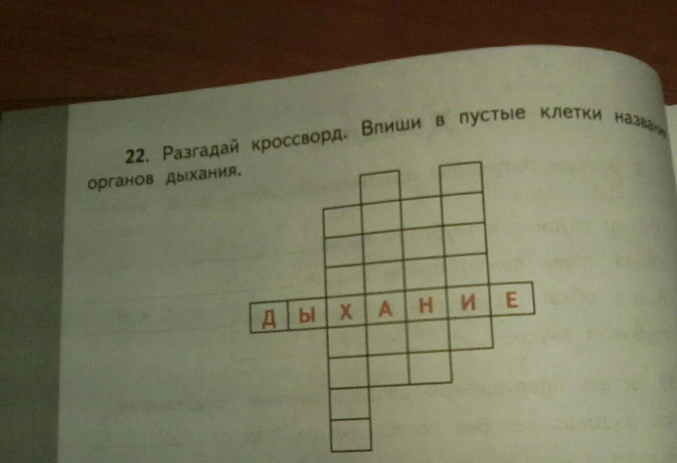 Разгадай кроссворд. Разгадай кроссворд впиши. Пустые кроссвордные клетки. Разгадай кроссворд ответ. Оклечве разгадай