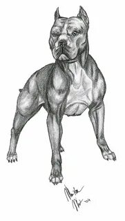Бойцовские рисунки