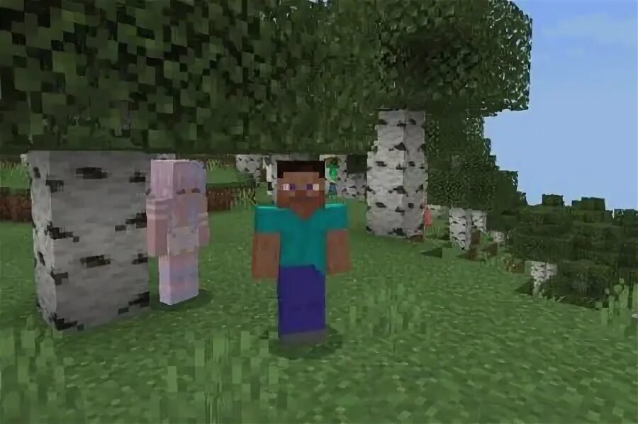 Minecraft mods custom npc. Minecraft mods custom npc