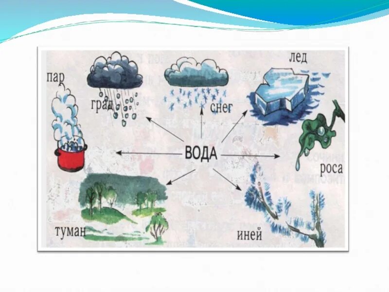 Признаки воздуха и воды. Какой бывает вода 1 класс. Какая бывает вода схема. Состояния воды в картинках для детей. Какая бывает вода для детей.