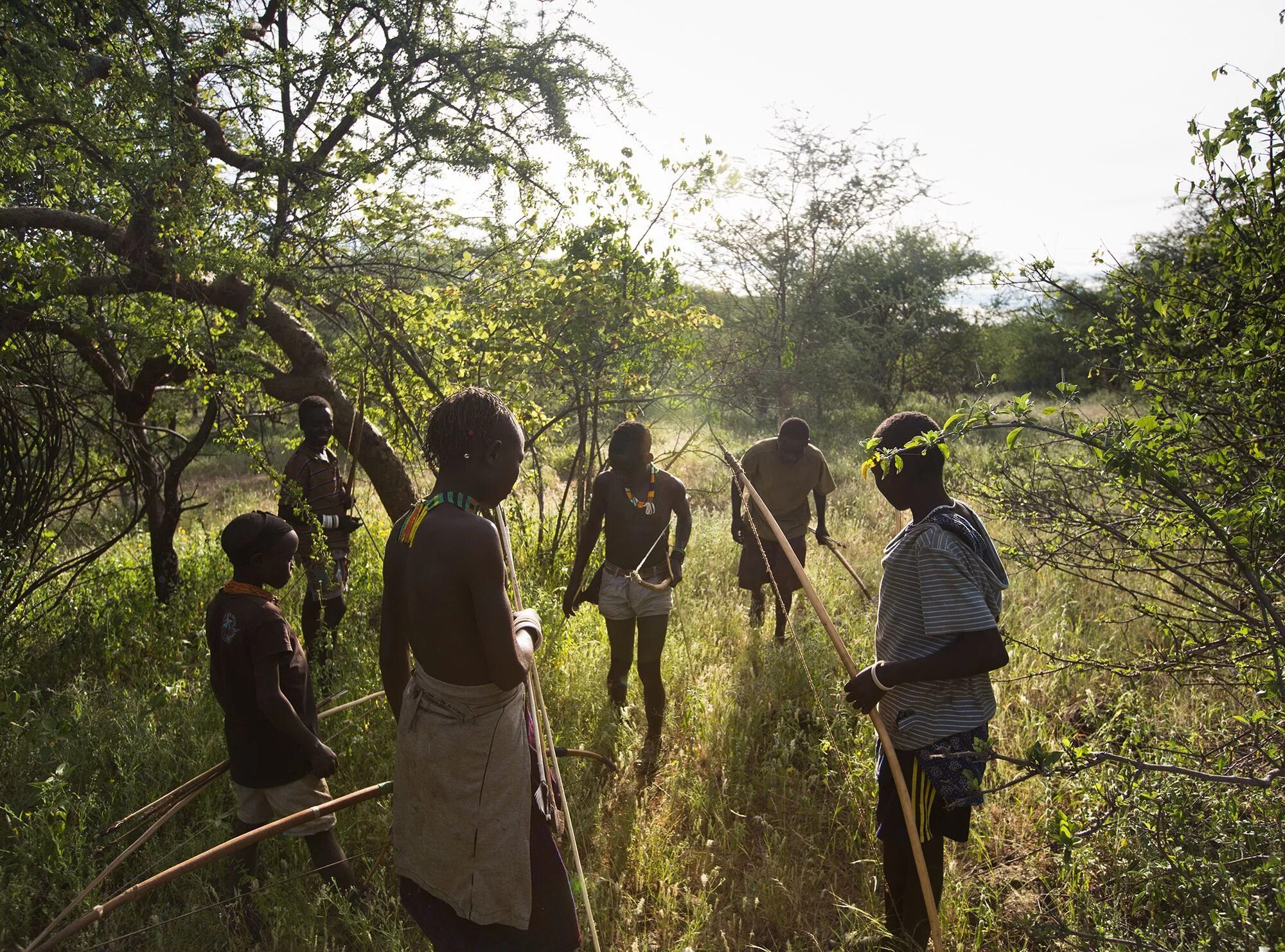 Охотники и собиратели. Hunter Gatherer. Gatherers. Общество охотников собирателей