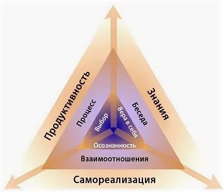 Звезда эриксона. Звезда Милтона Эриксона. Треугольник коучинга. Звезда коучинга. Треугольник осознанности.