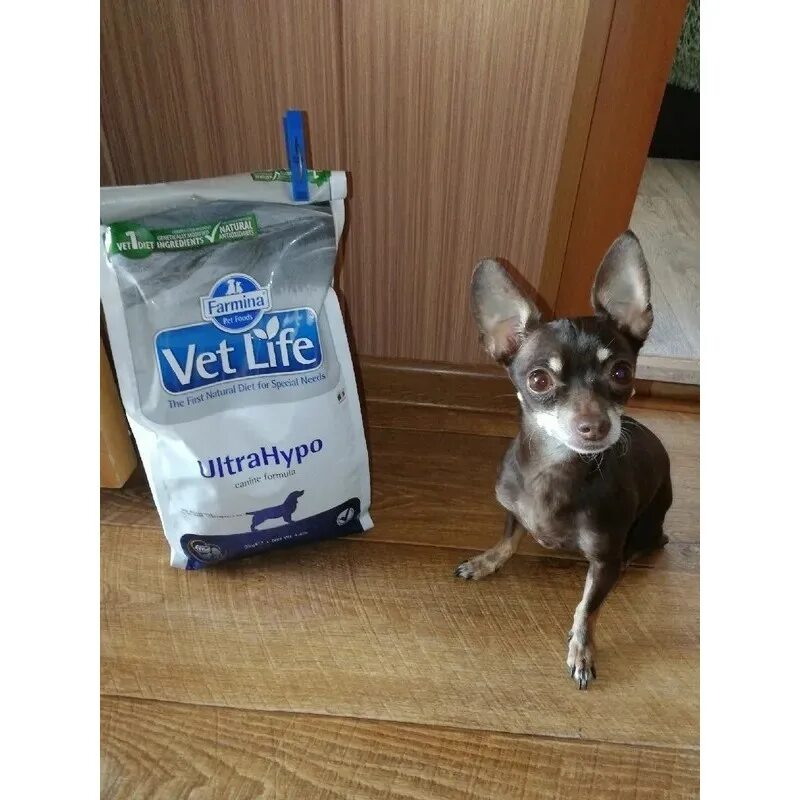 Корм vet life ultrahypo. Vet Life ULTRAHYPO для собак. Корм для собак Farmina ULTRAHYPO 12 кг. Фармина ультрагипо для собак. Фармина vet Life ULTRAHYPO корм для собак.