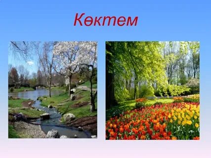 Әйелімнің мас досының суреті