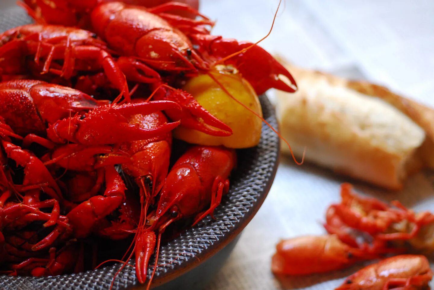 Картинка рак. Раковая Crawfish. Crawfish приправа. Раки,сваренные по новоорлеански. Рачки к пиву маленькие.