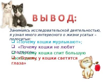Почему кошка много