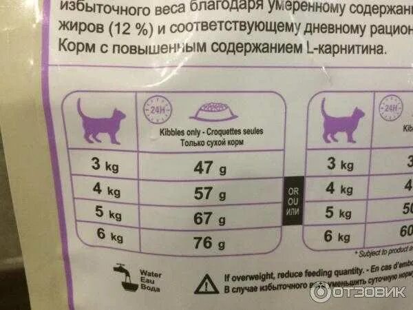 Сколько можно давать кошке