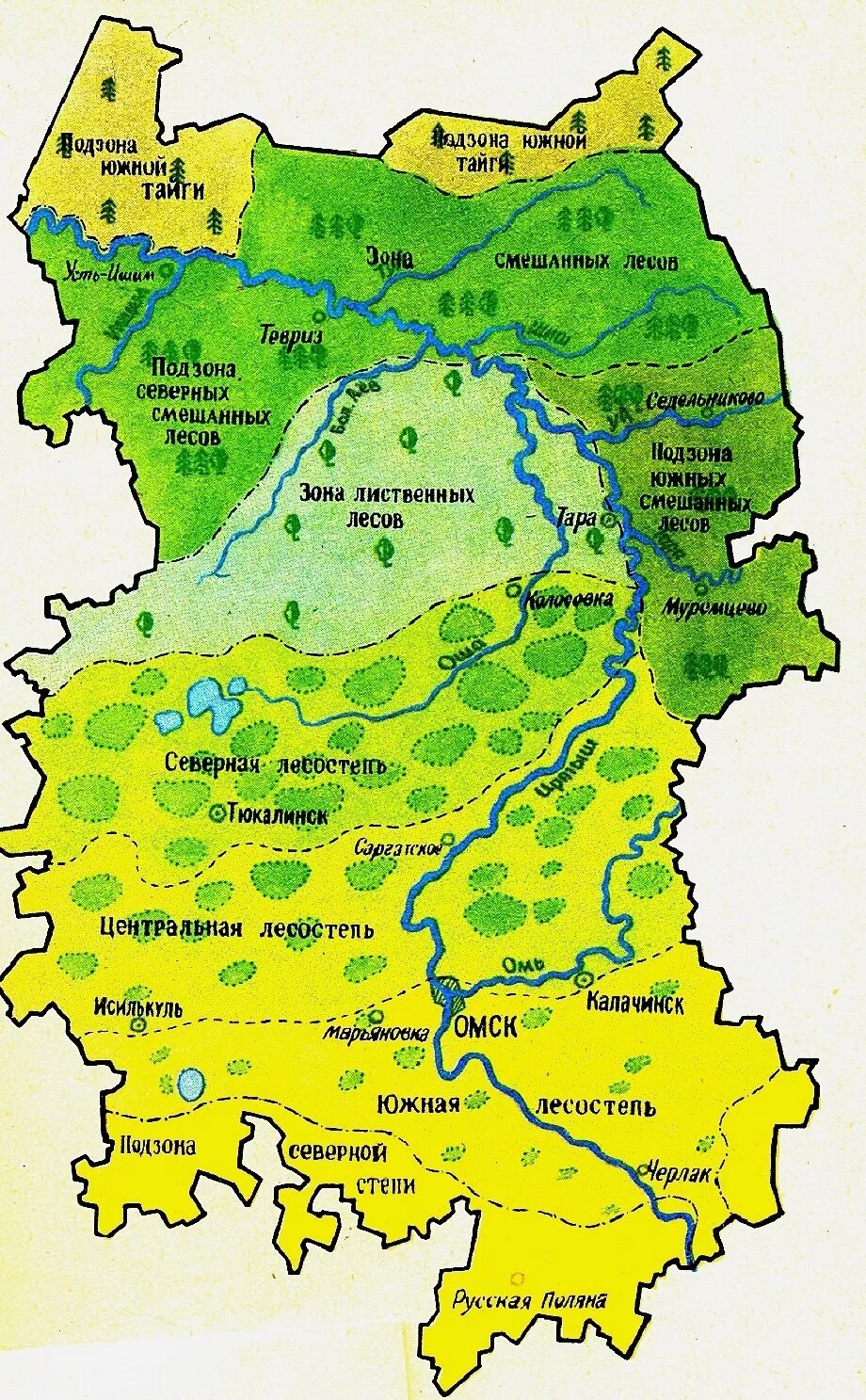 Рельеф Омской области карта. Природные зоны Омской области карта. Карта природных зон Омской ОБД. Леса Омской области карта.