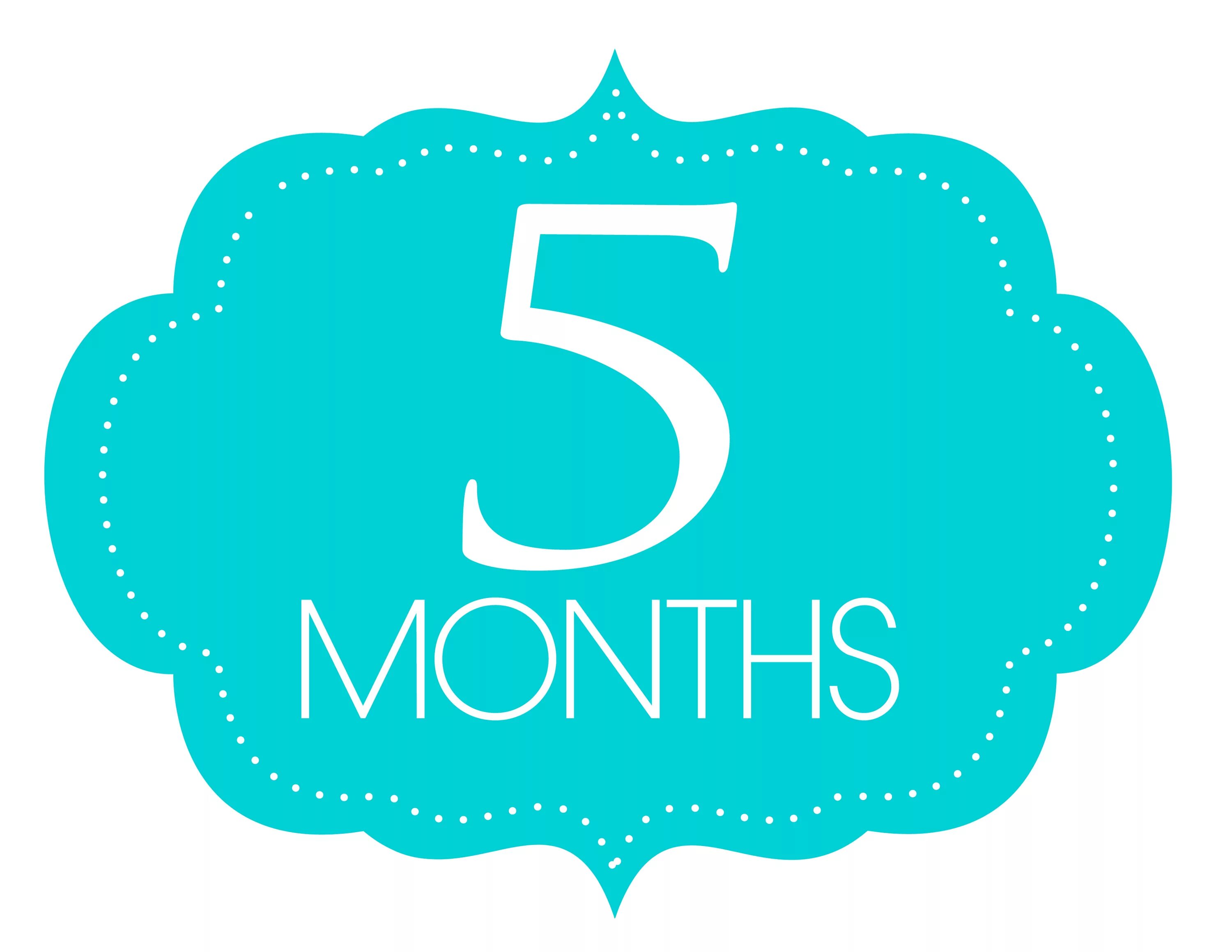 5 months