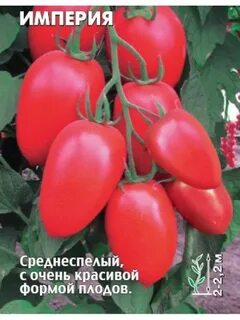 Томат империя