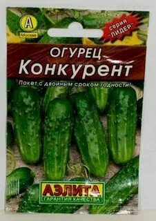 Огурец сорта конкурент