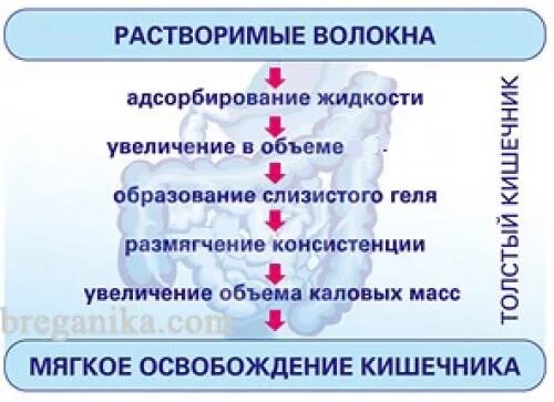 Нерастворимые пищевые волокна. Растворимые и нерастворимые пищевые волокна. Растворимые и нерастворимые пищевые волокна таблица. Водорастворимые пищевые волокна.