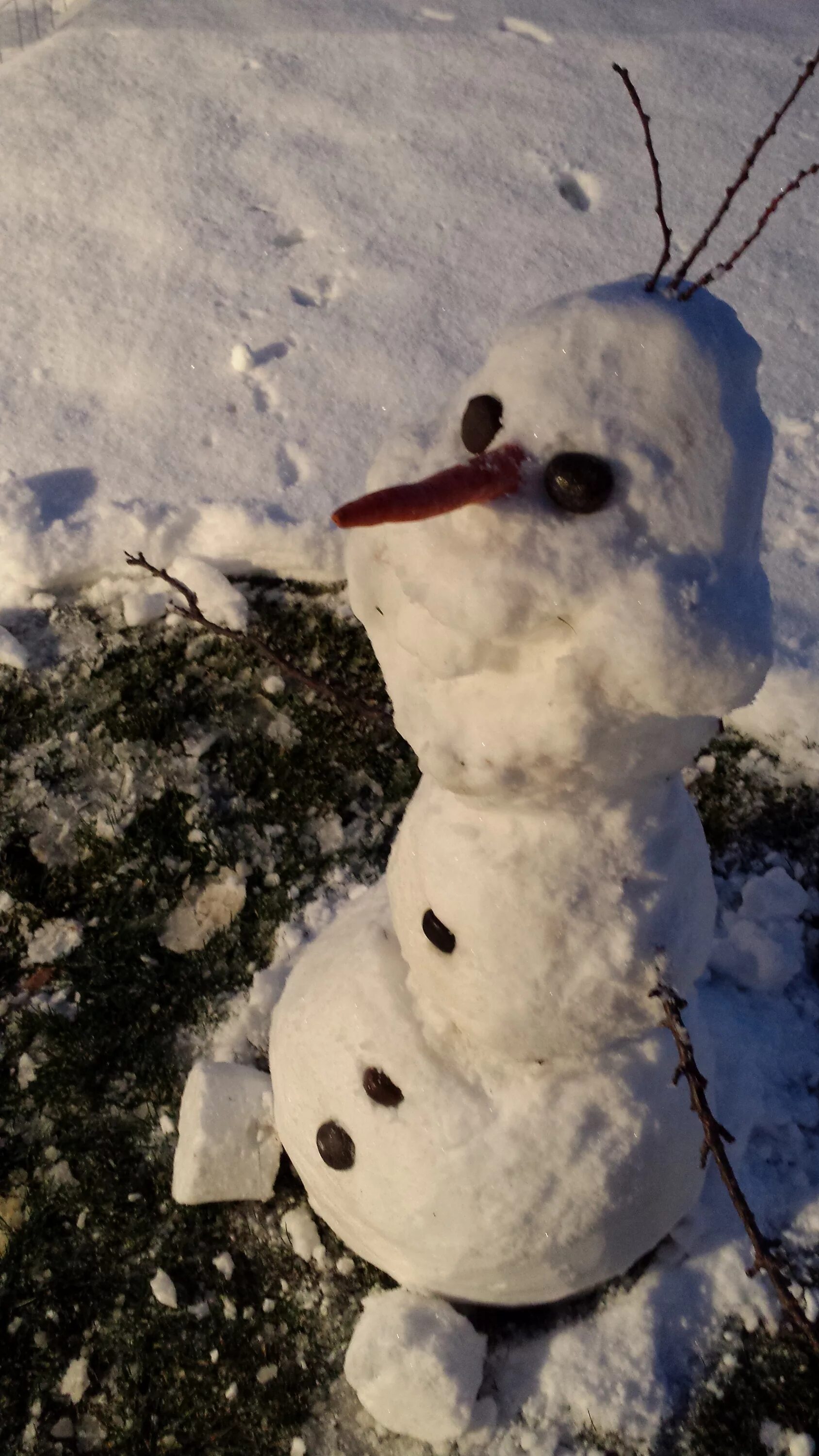 Растаявший снеговик. Снеговик Олаф тает. Тающий Снеговик. Подтаявший Снеговик.