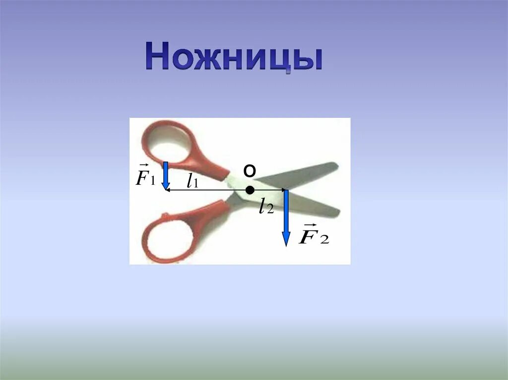 Ножницы рычаг. Ножницы рычаг физика. Рычаги в быту. Рычаги в быту ножницы. Рычаг в природе быту