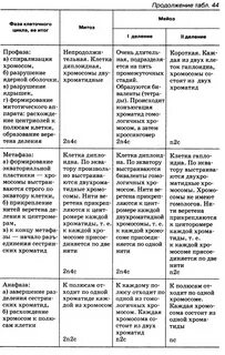 Заполните таблицу сравнительная характеристика митоза и мейоза