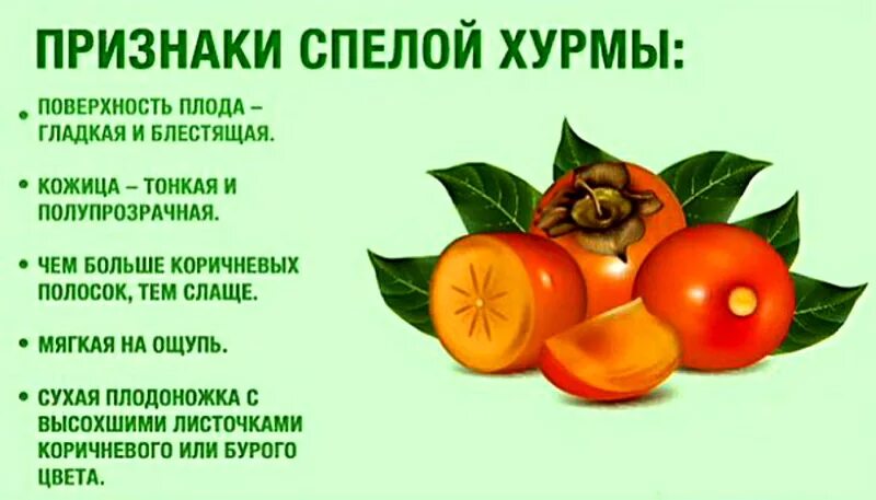 Хурма полезные свойства и противопоказания для женщин. Чем полезна хурма. польза хурмы. витамины в хурме. полезные витамины в хурме.