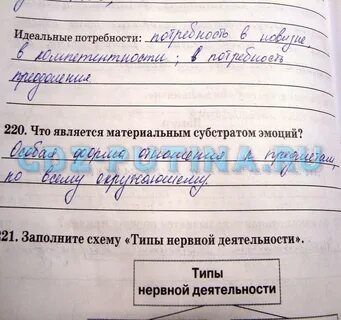 Биология 8 рабочая тетрадь сонин