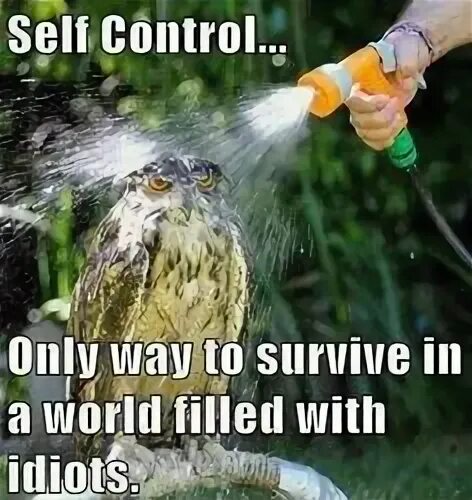 I just control