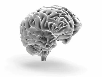 Into brain