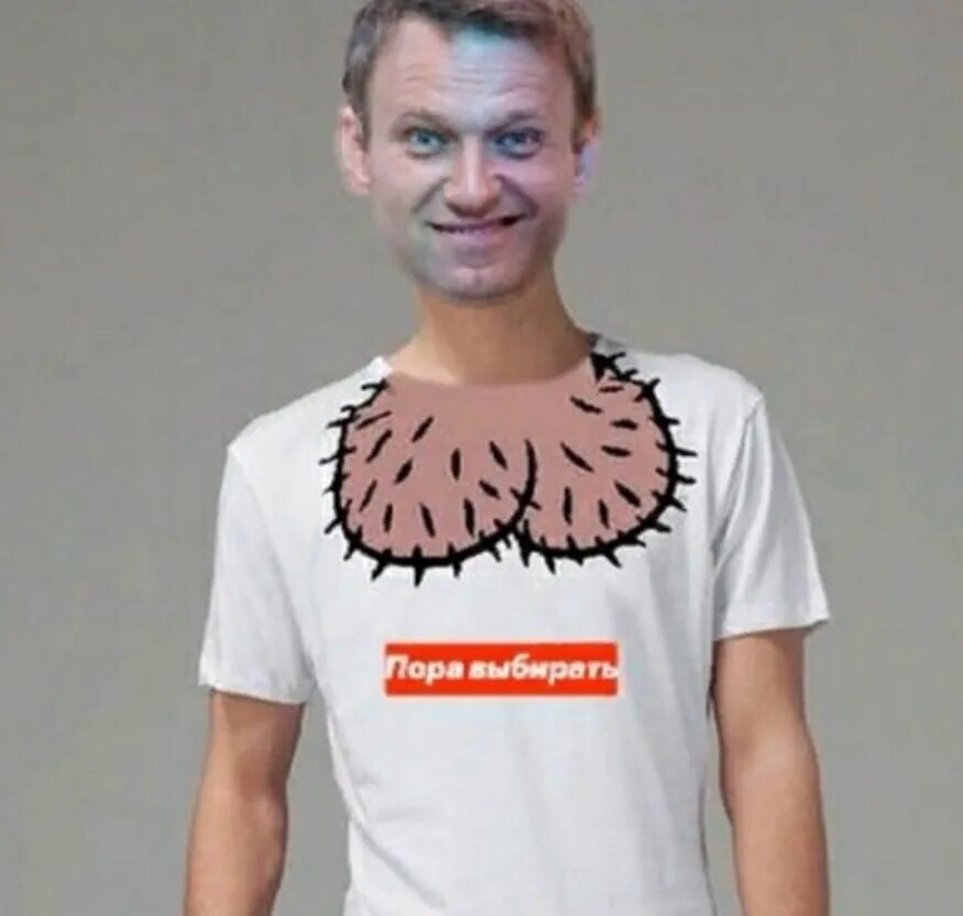 Леша Навальный. Навальный прикол. Навальный чмо. Навальный карнавальный. Насральный