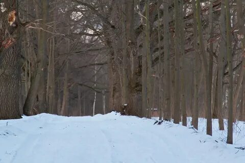 Погода тульская область село суханово