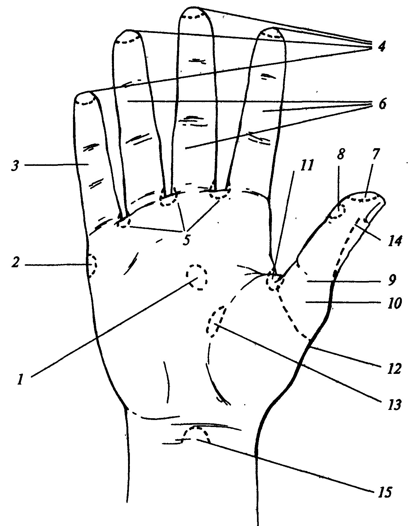 Местоположение рук. Рефлексогенные зоны кисти. Лимфоузлы на ладонях рук. Зоны руки. Рефлексогенные зоны кистей рук.