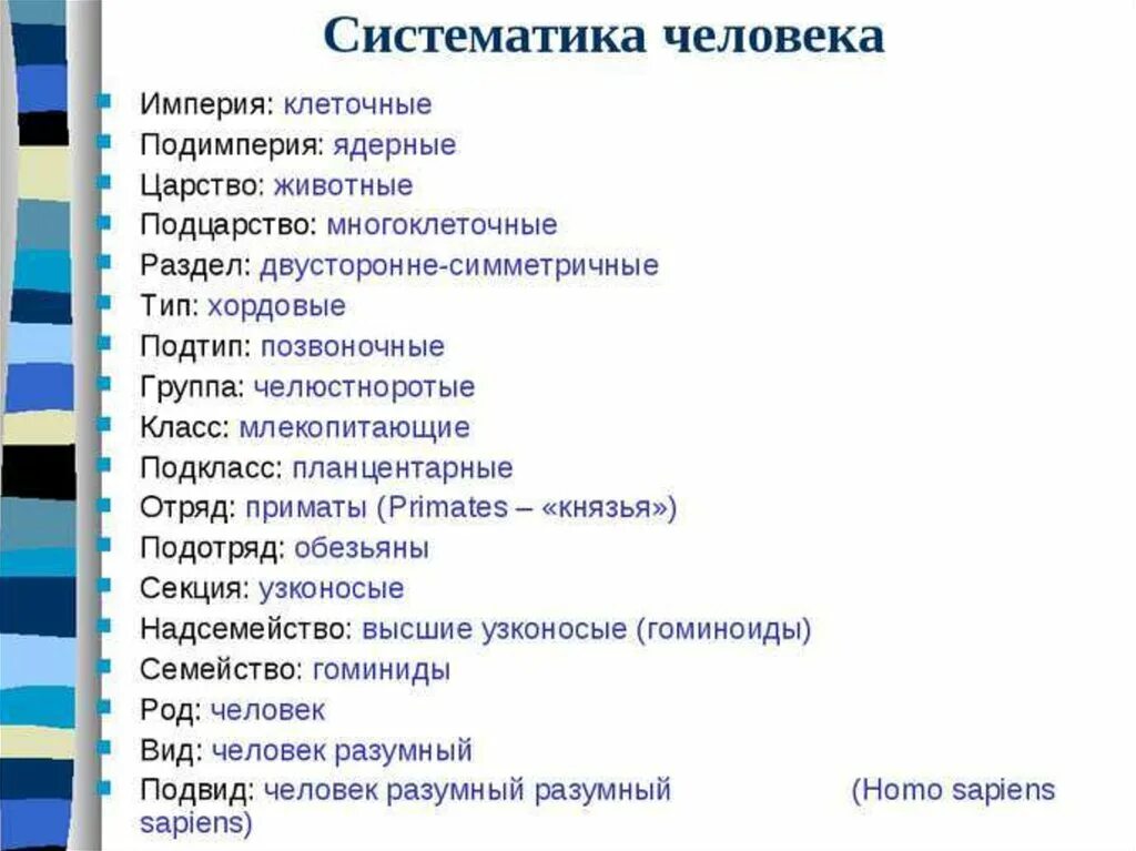 Составить классификацию человека. Систематика человека. классификация человека. систематика человека разумного. систематическая классификация человека.