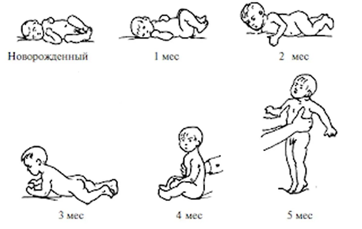 Во сколько месяцев держать вертикально. Этапы ползания ребенка. Учим ребенка сидеть. Этапы ползания ребенка по месяцам. Во сколько дети начинают сидеть.