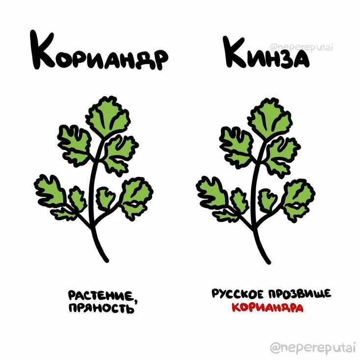 Не и нет в чем разница