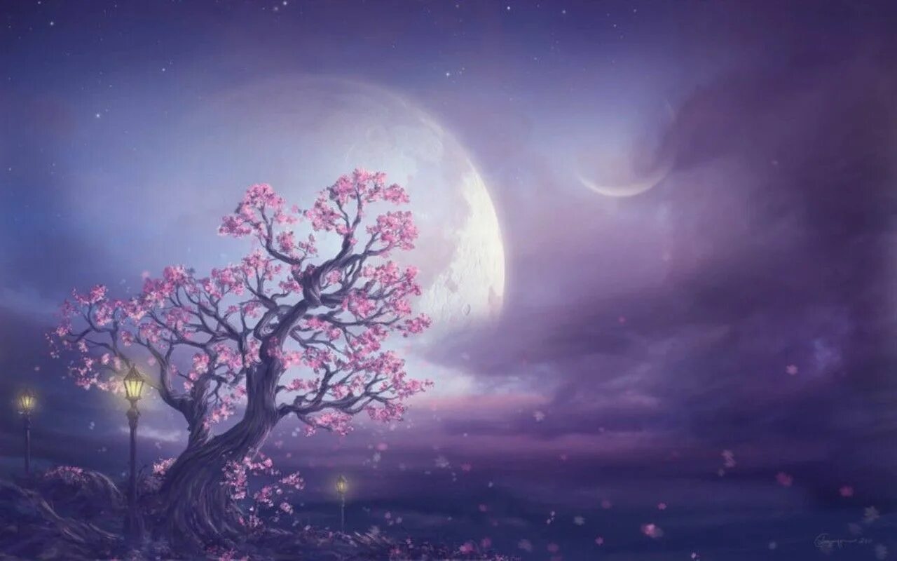 Blossom in my moonlight