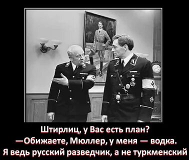 Штирлиц и мюллер