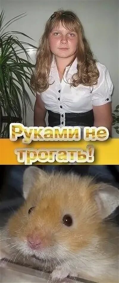Хомячок великого герцога. Хомячок великого герцога