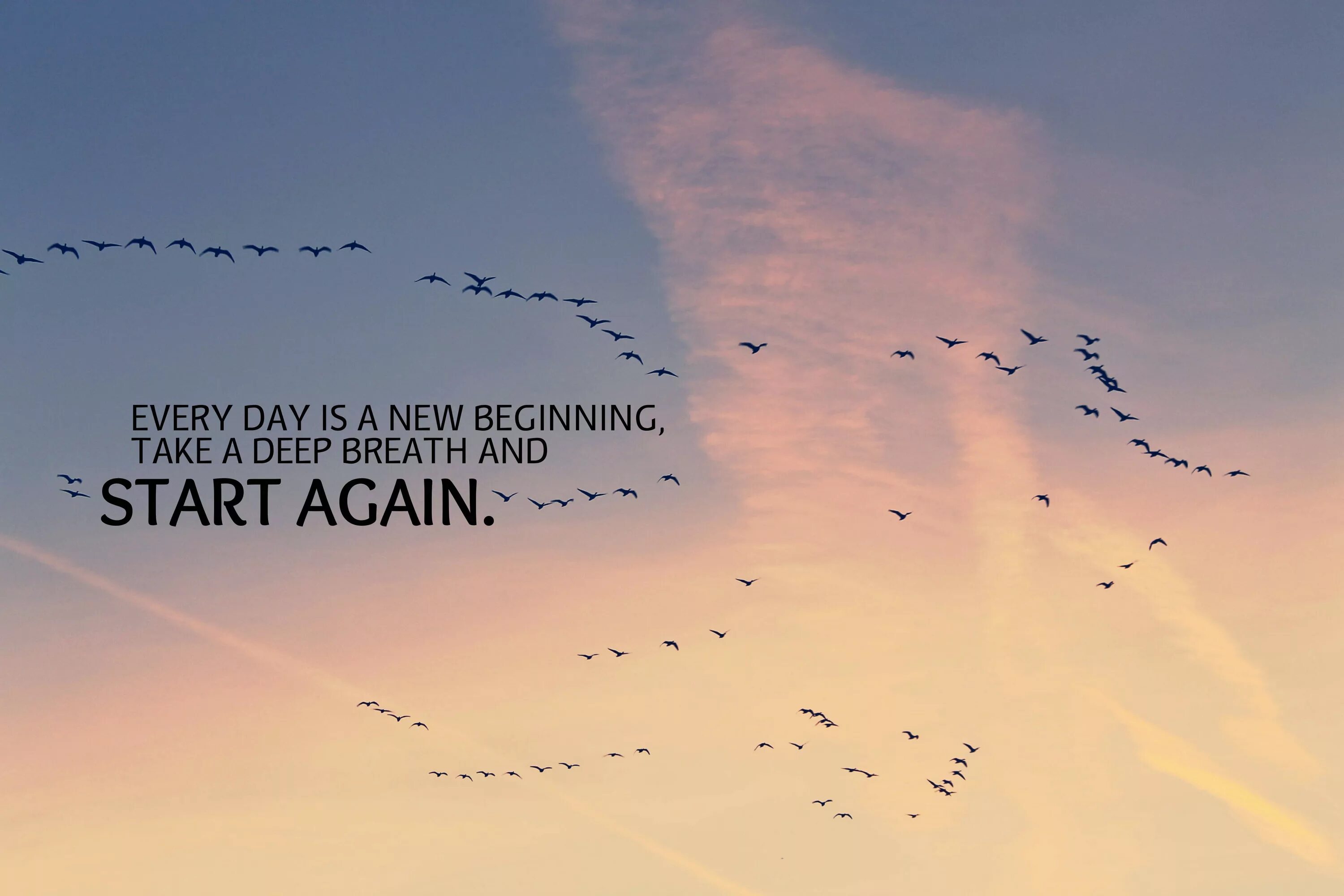 Start a new day. Every Day is a New beginning. Надпись New Day. Every Day. Everyday is a New beginning take.