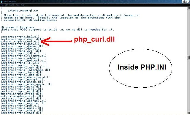 Php curl get. Php приколы. Php Мем. Curl php. Мемы про пхп.
