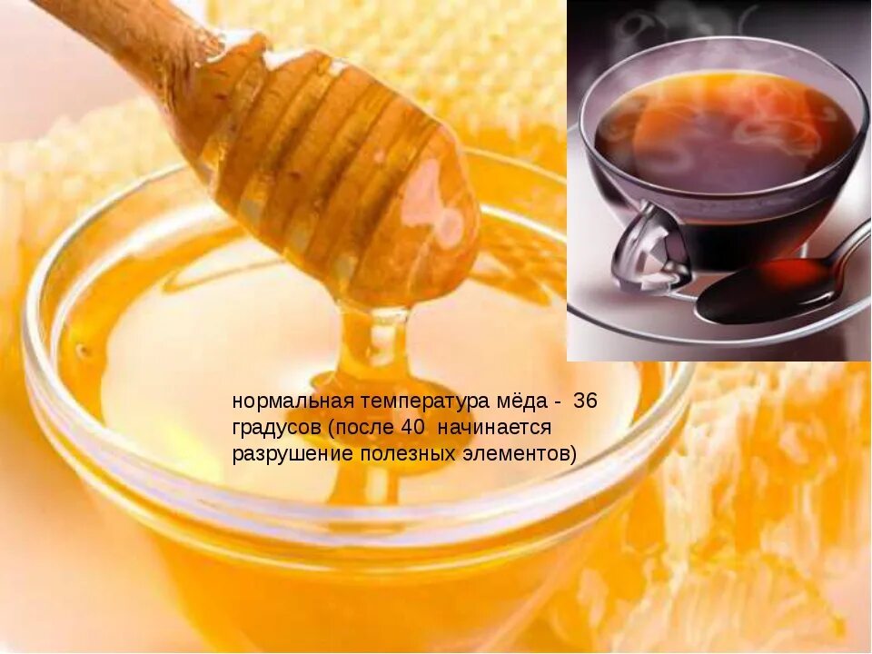 Можно пить чай с медом при температуре. Можно пить чай с медом при температуре