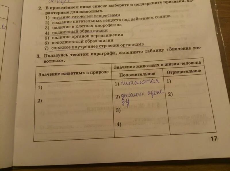 Основные типы плодов