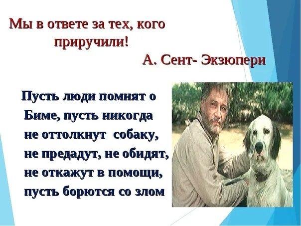 Каждый в ответе за свои слова. Мы в ответе за тех кого приручили. Мыв ответе за тех, кого пиручили. Мы в ответе за тех кого мы приручили. Мы в ответе за тех кого приручили кто написал.