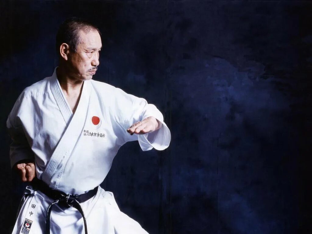 Динамика каратэ масатоши накаяма. Каратэ шотокан wkf. Карате ду. Данцев даниил каратэ. Каратист.