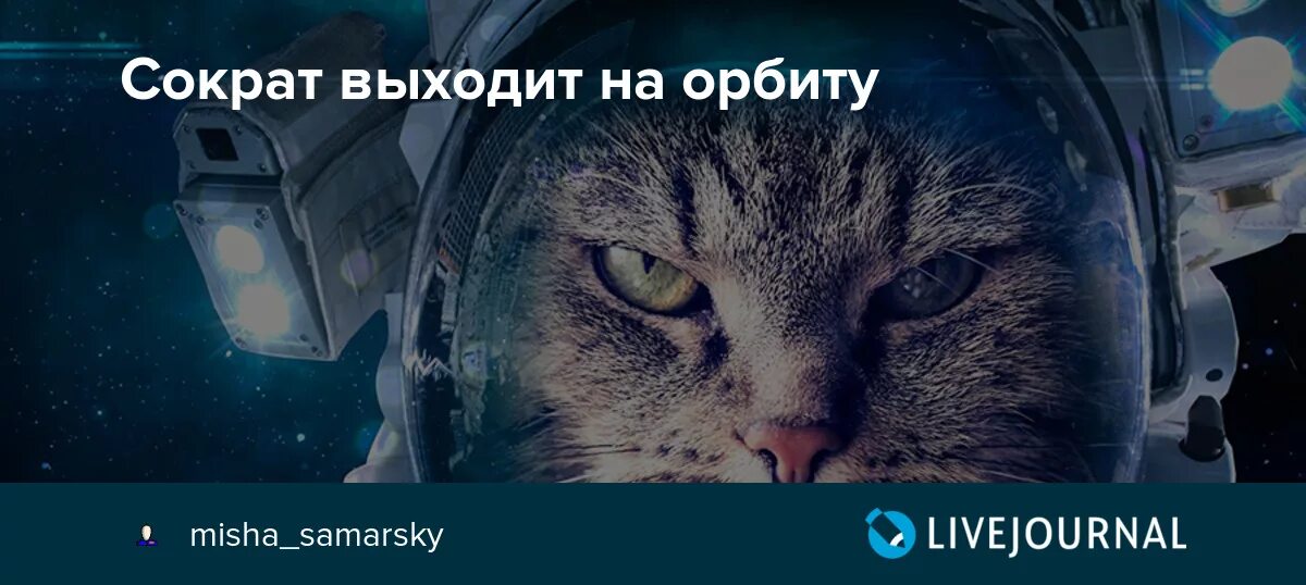 Кот Сократ выходит на орбиту. Книга кот Сократ выходит на орбиту. Самарский кот Сократ выходит на орбиту. Кот сократ книга