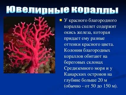 Рассказы коралловой