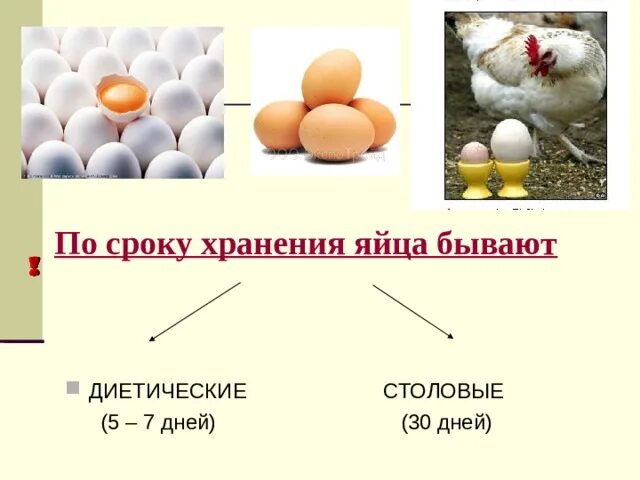 Сколько годность яиц. Срок хранения яиц. Яйца бывают по срокам хранения. Условия хранения яиц. Какой срок хранения у яиц.