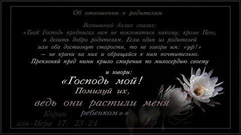 Ведь они растили меня ребенком